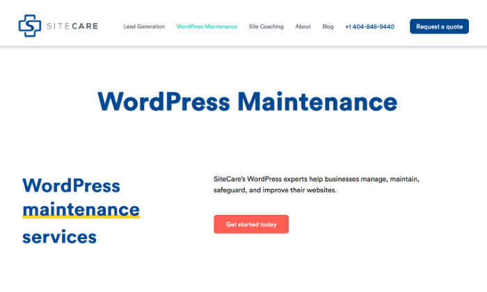 SiteCare homepage for Best WordPress Maintenance and Management Services
