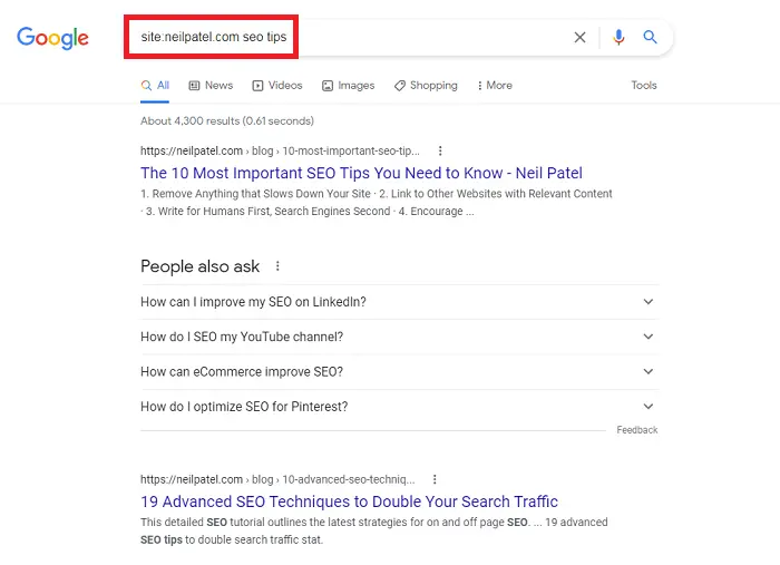 A Google site search.