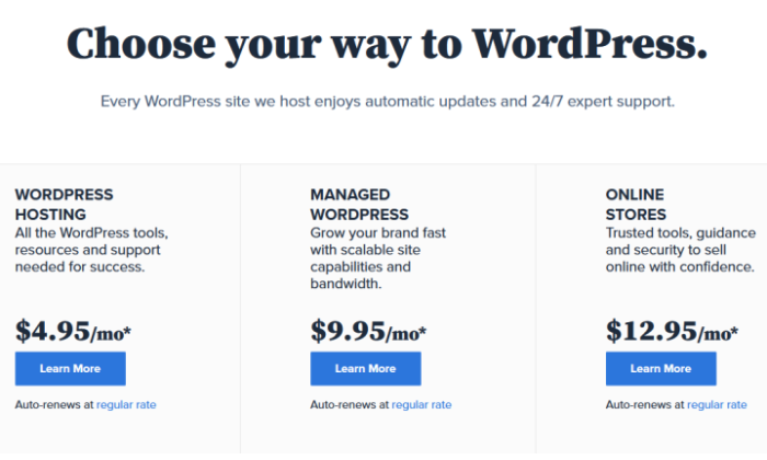 Bluehost WordPress hosting options prices for Best Web Hosting Services