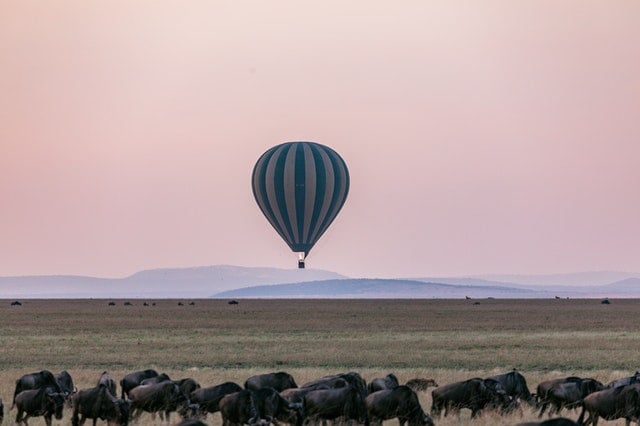 instagram alt text: A multicolored hot air balloon flying over grassy terrain