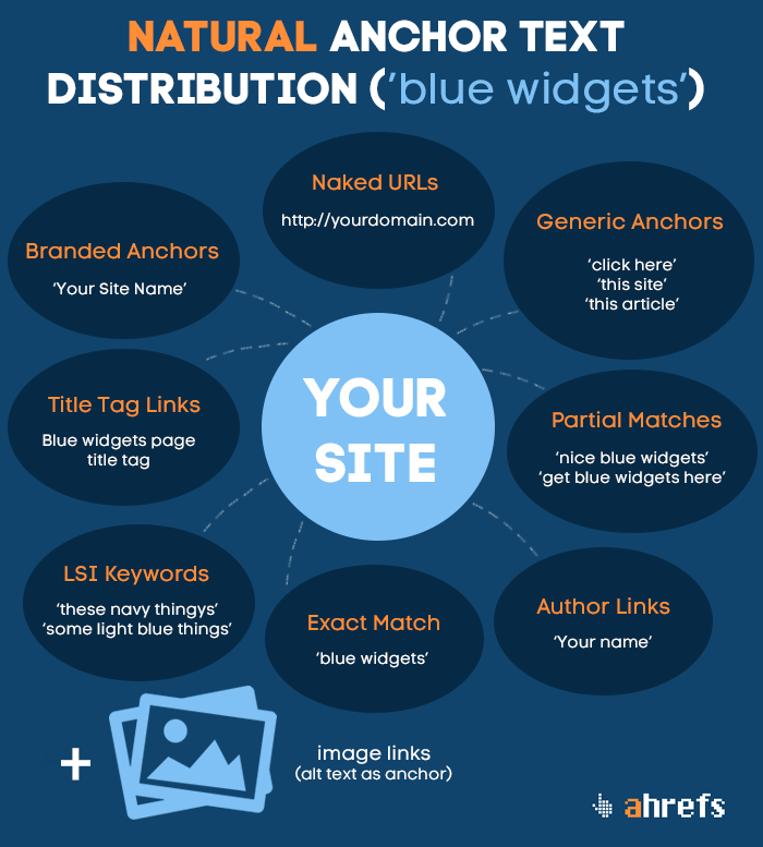 anchor text distribution infographic