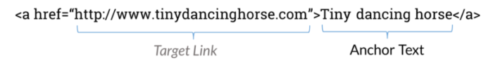 anchor text demonstration from a websites code