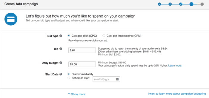 setting costs for your linkedin ads