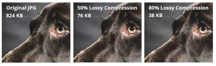 Image Optimization Tips for Your Website - Compress Your Images