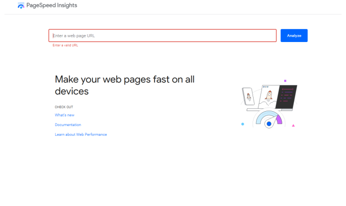 Google PageSpeed Insights for How to Increase Website Speed