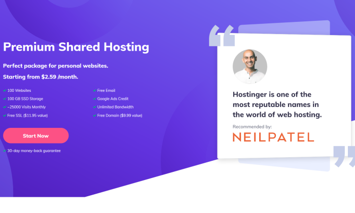 Hostinger NP offer splash page for How to Get a Free Domain Name
