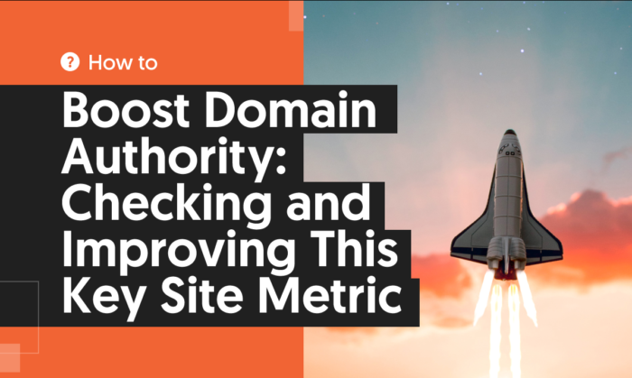 How to Boost Domain Authority: Checking and Improving This Key Site Metric