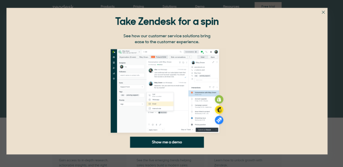 Pop-Up on Websites Examples - Zendesk