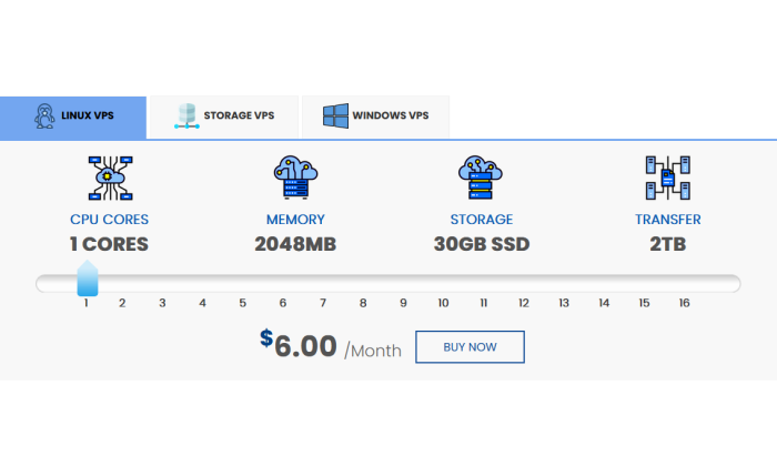 7 Best VPS with Large Storage Capacity (Jan. 2024)