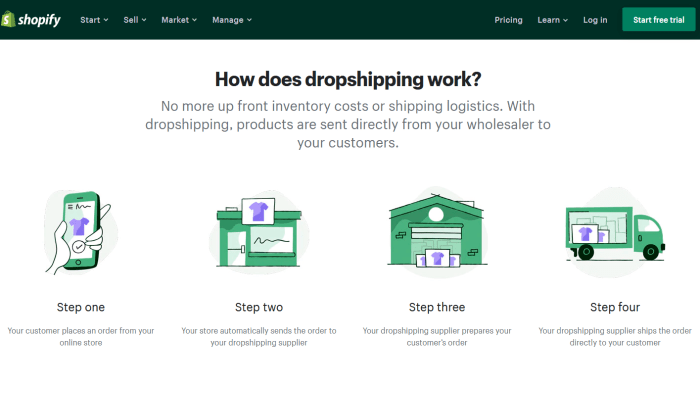 Shopify splash page for Best Dropshipping Companies