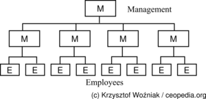 Marketing Organization Structure - Linear organization structure chart