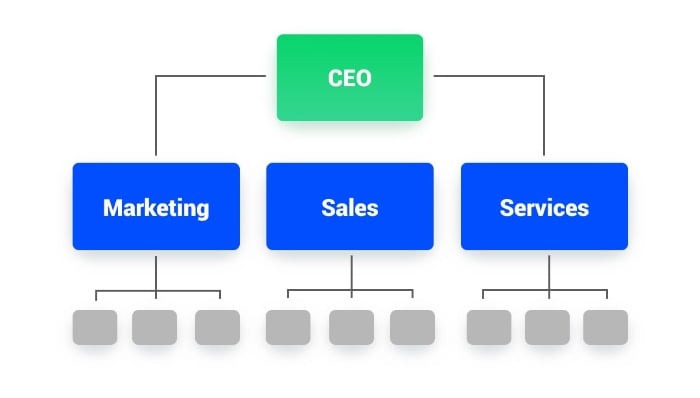 Types of Marketing Organizational Structures - Functional Marketing Organizational Structure