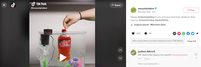 Mountain Dew using the #nationalpetday hashtag.