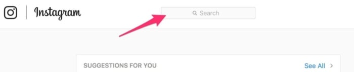 An image of the search bar on Instagram, which is a starting point for getting an Instagram followers increase. 