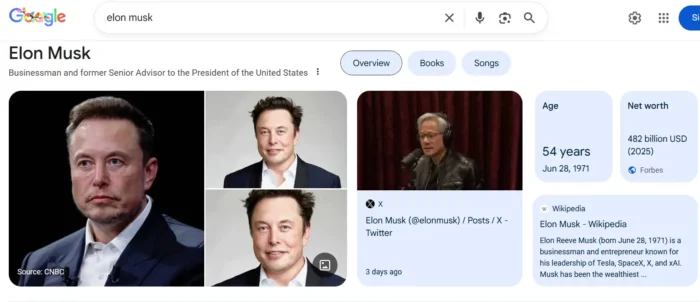 Google's knowledge panel for Elon Musk.