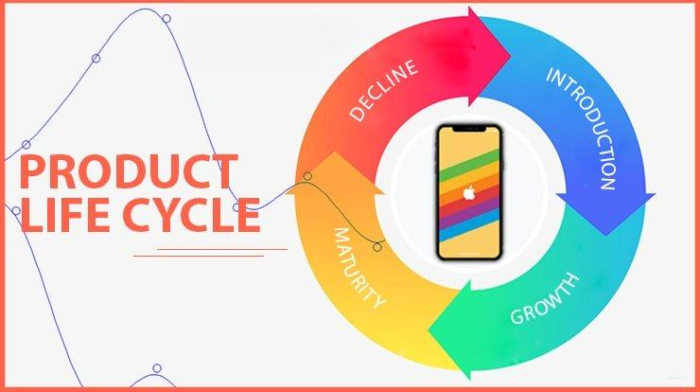 A graphic depicting a typical product life cycle with an IPhone in the middle. 