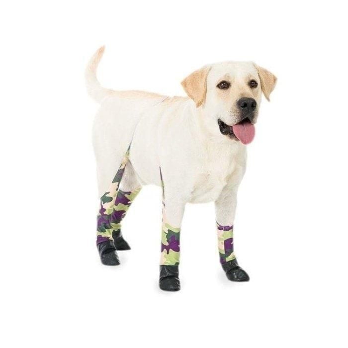 A canine  wearing leggings from Walkee Paws.