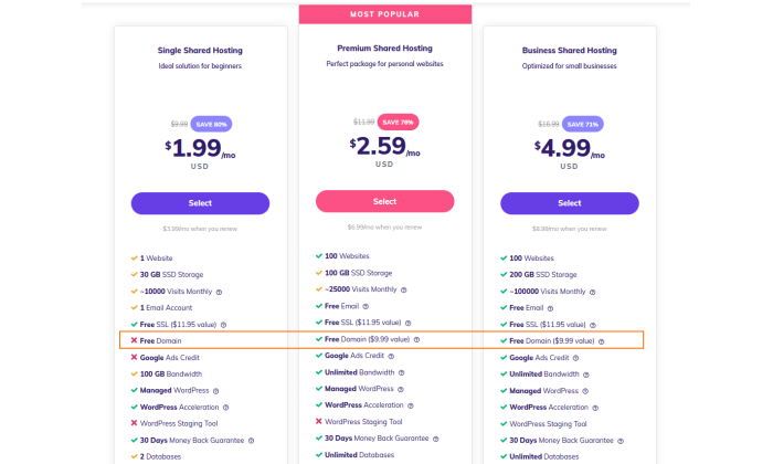 An image of a payment plan option for a shared webhosting site. 