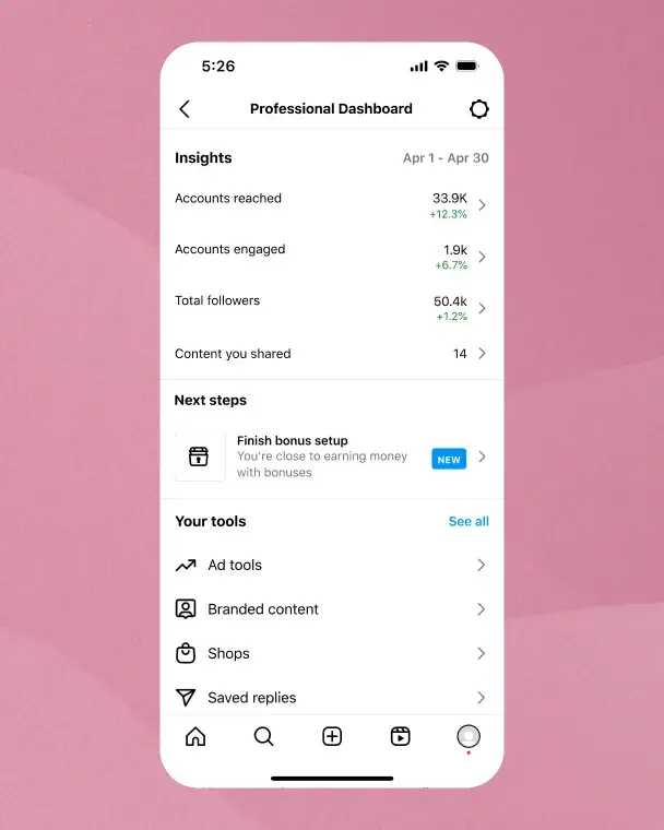 Instagram's professional dashboard.