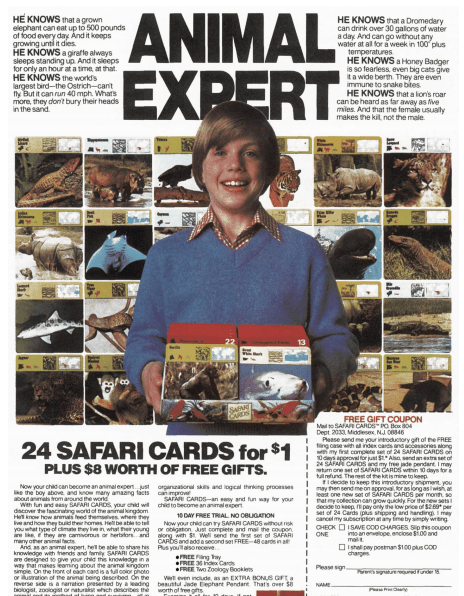Safari Cards utilizing content marketing in 1978.