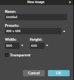 Select your representation  dimensions erstwhile   creating a caller   representation  connected  Pixlr.