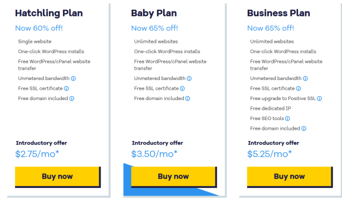 HostGator's pricing plans for website hosting services.