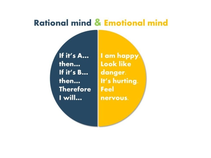 A pie graph of a rational mind and emotional mind.