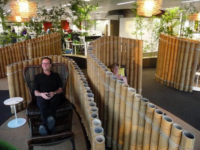 A man and a woman lounging in separate cubicles made out of bamboo trees in the Google office in Sydney.