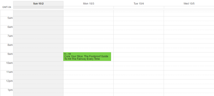 Screenshot of a Google calendar.