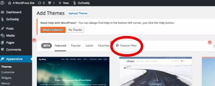 Screenshot of the Themes page on WordPress and a red circle around the words "feature filter."
