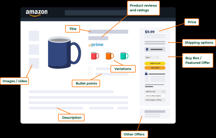 Detailed illustration of an Amazon listing