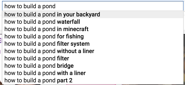 A screenshot of YouTube's search engine with "how to build a pond" typed in.