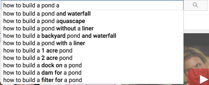 A screenshot of YouTube's search engine with "how to build a pond a" typed in.