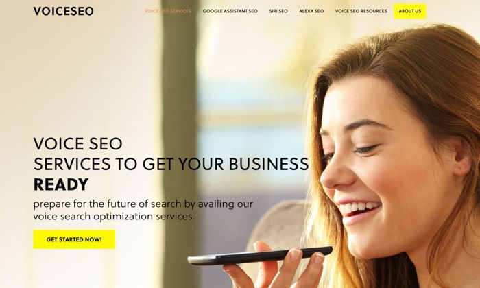 Voice SEO's homepage. 