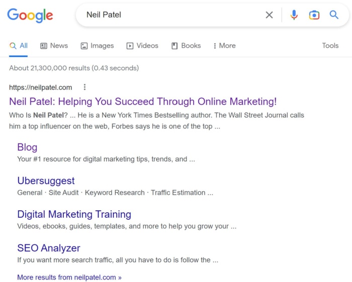 A google search for the term "Neil Patel".