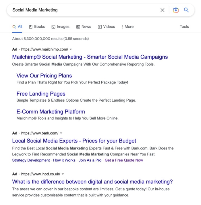 Google results for "social media marketing".