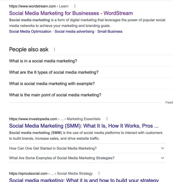 Google results for Social media marketing. 