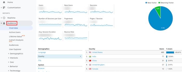 Google analytics audience tab. 