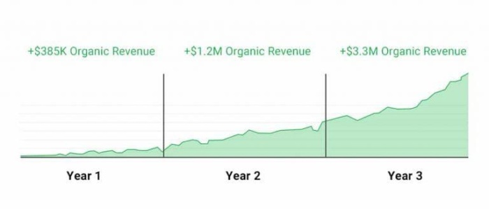 A graph showing the increase in organic revenue due to SEO. 
