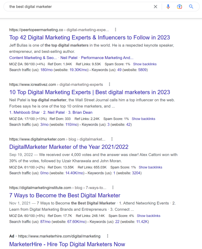 A search for "the best digital marketer" in Google.