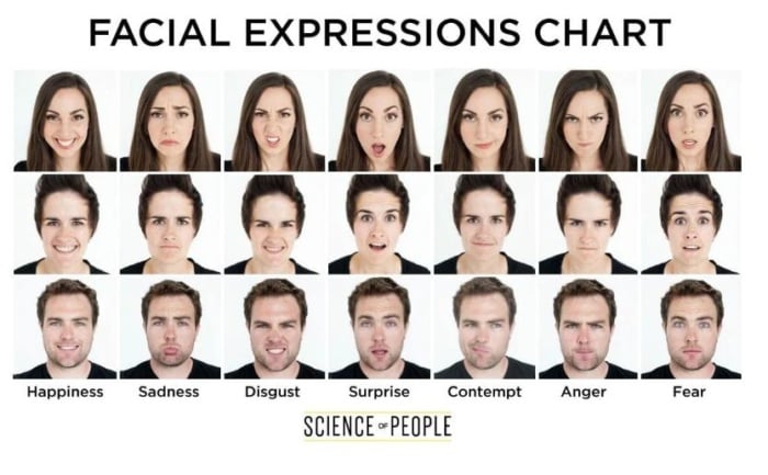 Facial expressions chart. 
