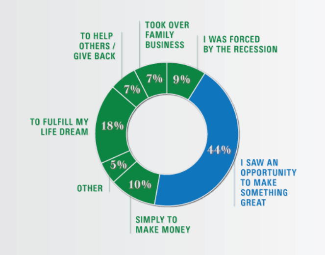 A chart depicting reasons why people became entrepreneurs.