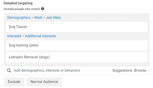 Chosen audience interests in facebook ads. 