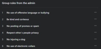Group rules inside a facebook group. 