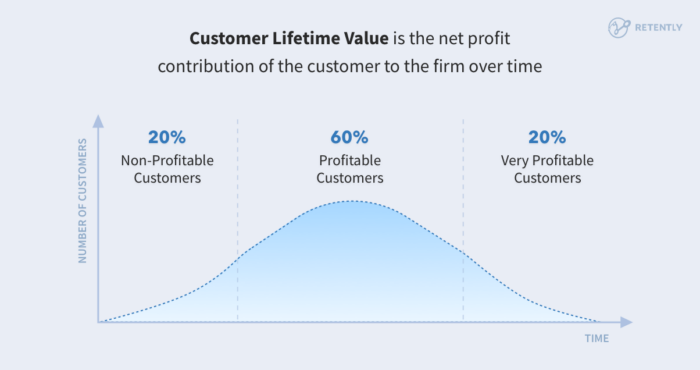 Customer lifetime value is the net profit contribution of the customer to the firm over time. 