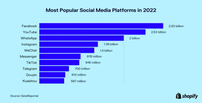 A chart on Shopify showing the most popular social media platforms.