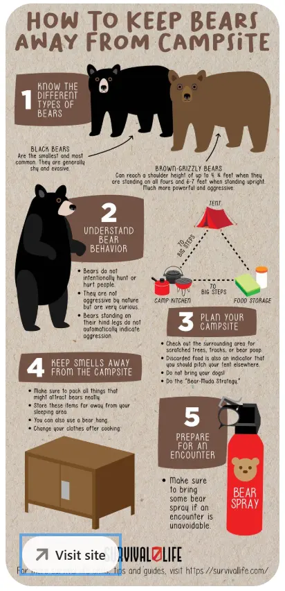 An example of an instructographic on Pinterest