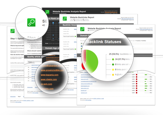 A backlink report from SEO Powersuite.