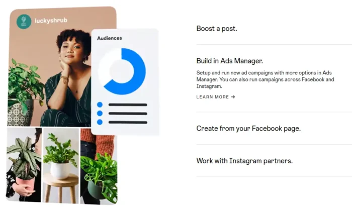 A social media ad example for a brand called luckyshrub showing images of a woman with houseplants and several potted plants. Overlaid is a blue and white chart labeled Audiences.