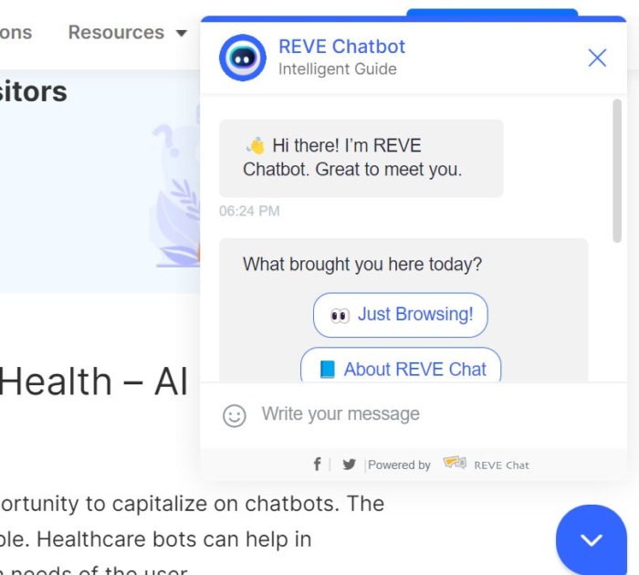 Chat bot on a website. 